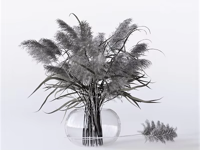 Transparent Glass Vase With Modern Gray Pampas Grass Flower Arrangement 3d model