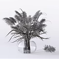 Transparent Glass Vase With Modern Gray Pampas Grass Flower Arrangement