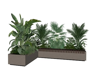 Green Potted Plants With Various Tropical Leaves In Square Concrete Planters 3d model