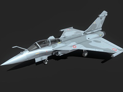 Rafale M Fighter Carrier Aircraft Jet Fighter model