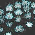 Green Grass Collection With Various Heights And Different Shapes On Dark Background