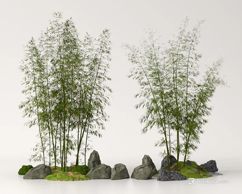 Tall Bamboo Plants Growing With Rocks And Green Grass In Natural Landscape 3d model 