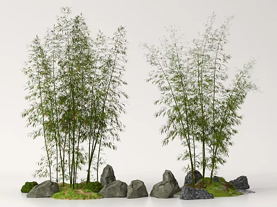 Tall Bamboo Plants Growing With Rocks And Green Grass In Natural Landscape 3d model