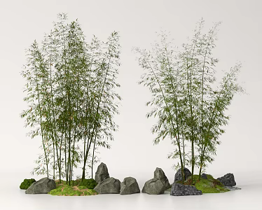 Bamboo Landscape Bamboo Luohan Bamboo Xiangfei Bamboo Courtyard Bamboo Moss Terrain 3d model