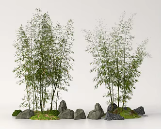 Bamboo Landscape Bamboo Luohan Bamboo Xiangfei Bamboo Courtyard Bamboo Moss Terrain 3d model