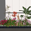 Colorful Garden Flower Arrangement With Red Lilies Pink Blooms And Green Leaves