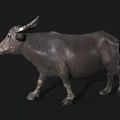 Buffalo 3D Model With Realistic Horn Details And Textured Skin Appearance