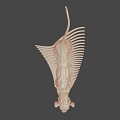 3D Rendered Muscular Lion Anatomy Model Showing Detailed Anatomical Muscle Structure