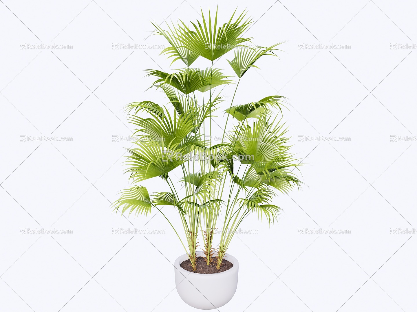 indoor potted plant 3d model