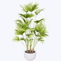 indoor potted plant 3d model