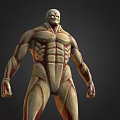 Game Film Character 3D Model With Detailed Muscle Structure Anatomical Design Front Back View