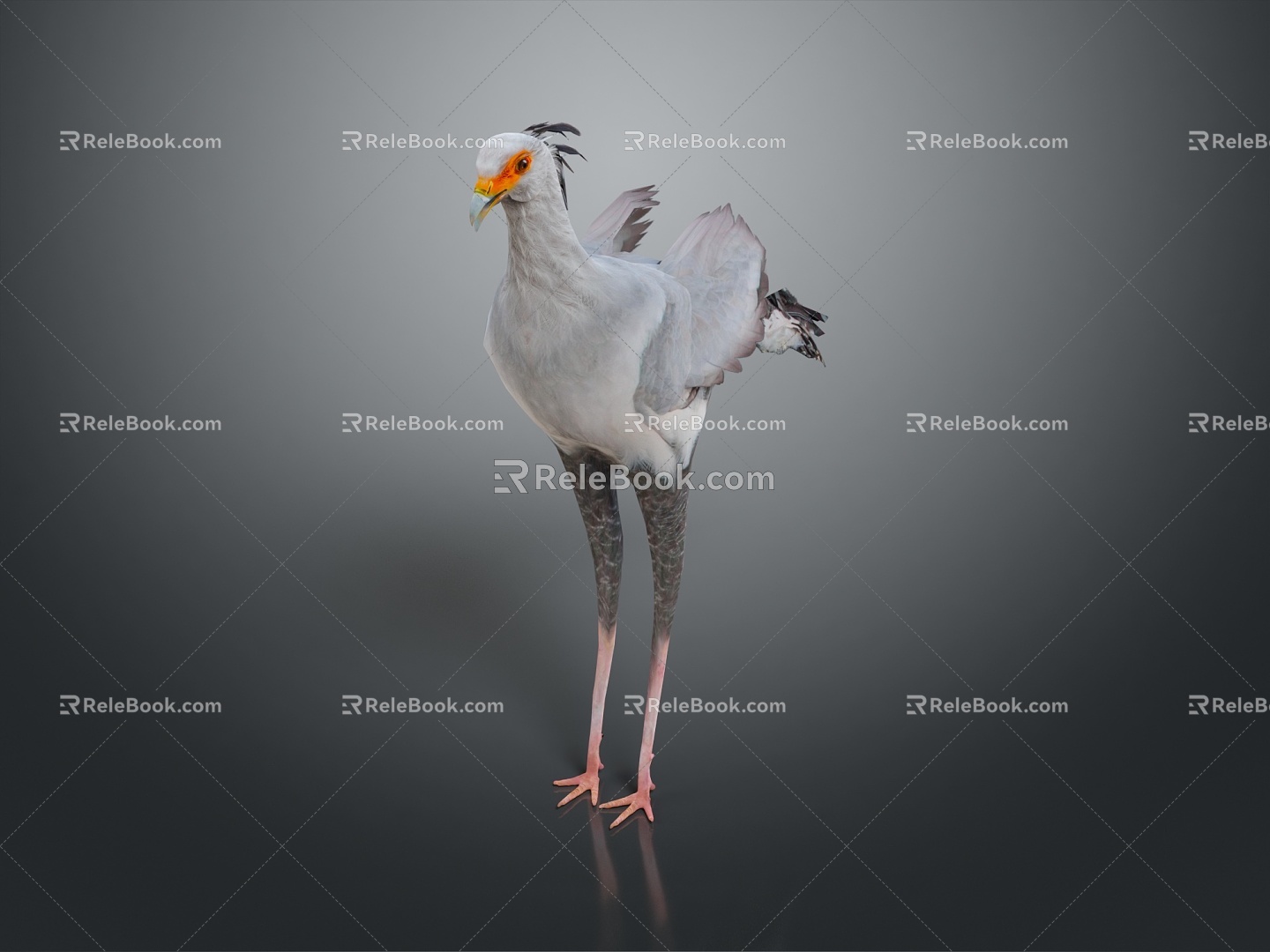 bird bird bird bird game animal cartoon animal animal realistic animal 3d model