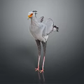 Secretary Bird with Grey Plumage Orange Beak Long Legs and Crested Head