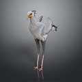 bird bird bird bird game animal cartoon animal animal realistic animal 3d model