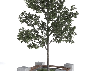 Modern Tree Pool Single Tree Pool model