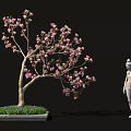 Bonsai Plant With Pink Blossoms And Elegant Branches In Decorative Square Pot With Stone Statue