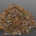 Pile of Colorful Autumn Leaves with Brown Yellow Orange Tones and Diverse Shapes