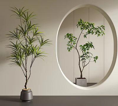 Potted Bonsai Plants with Slender Leaves Round Mirror Reflection And Stylish Planters 3d model