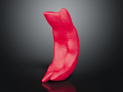 Red Human Organ Sculpture With Hairy Surface Displayed On Black Background 3d model