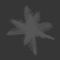 Lush Green Palm Tree With Person Silhouette And Black Letter H On White Background
