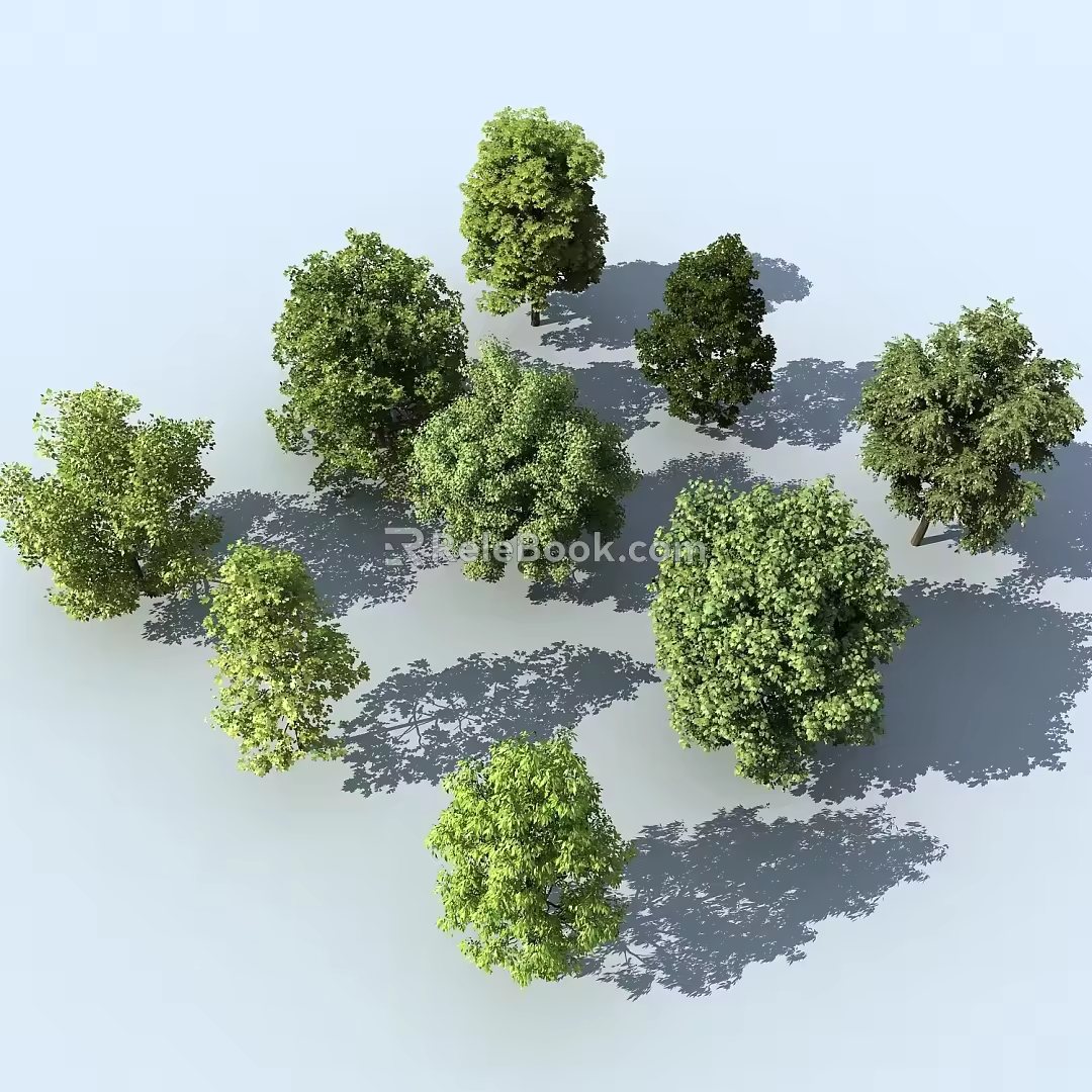 Tree Landscape Trees Plants Street Trees Bird's Eye View Trees 3d model