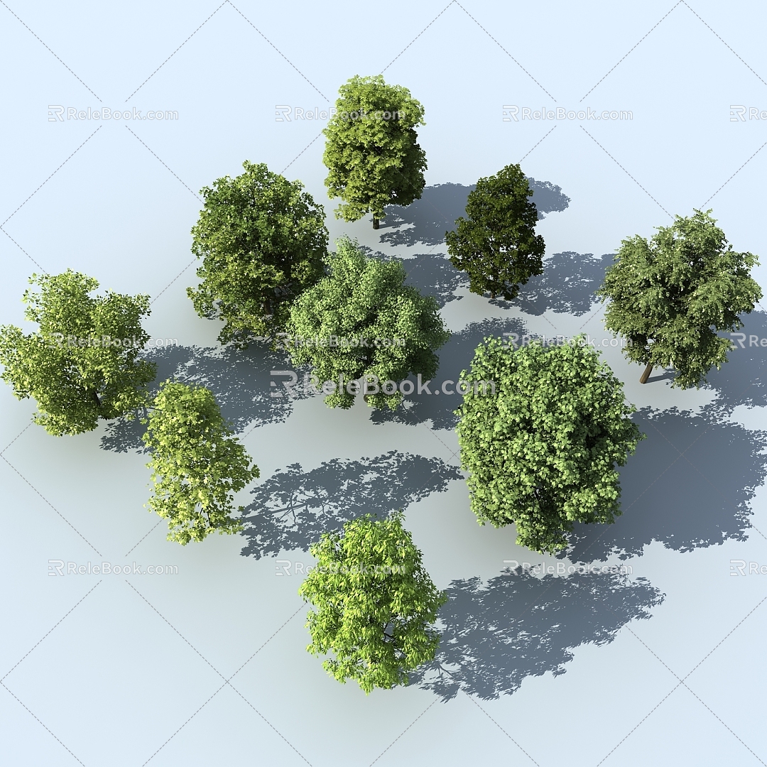 Tree Landscape Trees Trees Plants Street Trees Bird's Eye View Trees 3d model