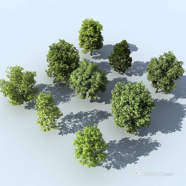 Green Trees with Various Sizes Different Shapes and Shadows on Light Blue Background 3d model 