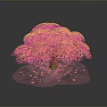Beautiful Pink Flowering Arbor With Lush Canopy And Scattered Petals On Dark Background