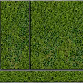 Interior Living Green Wall Design Featuring Various Plant Species And Sectioned Panels