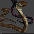 Reptile Snakes Displaying Brown Scaled Body Red Blue Patterns Coiled Form And Hooded Neck