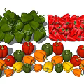 Fresh Colorful Bell Peppers in Green Red Yellow and Orange Varieties