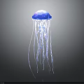 Graceful Blue Jellyfish With Transparent Long Tentacles Floating In Dark Background 3d model