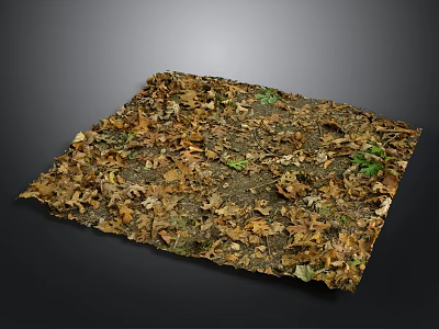Natural Outdoor Ground Covered With Scattered Dry Leaves And Green Plants 3d model