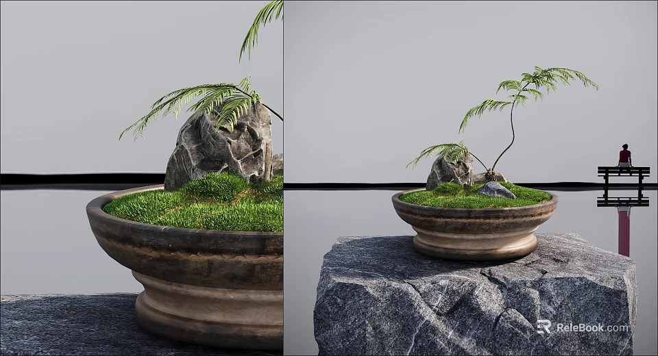 Bonsai Plant in Traditional Pot With Green Grass Small Rock and Stone Base 3d model 