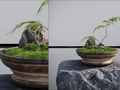 Bonsai Plant in Traditional Pot With Green Grass Small Rock and Stone Base 3d model