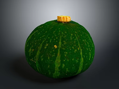 Fresh Green Pumpkin With Striped Surface And Yellow Stem As Organic Vegetable 3d model
