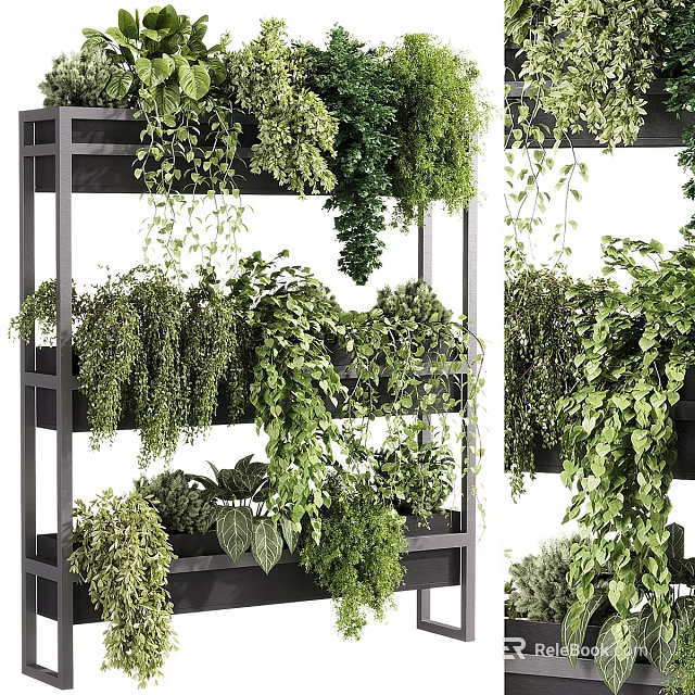 Vertical Indoor Green Plant Wall Featuring Various Hanging And Climbing Plants 3d model 