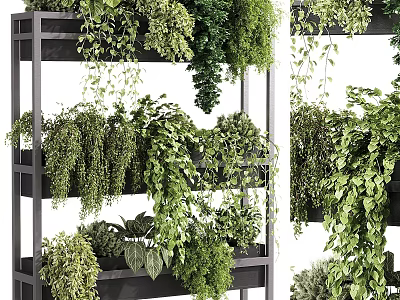 Vertical Indoor Green Plant Wall Featuring Various Hanging And Climbing Plants 3d model