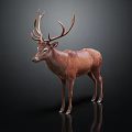 Brown Deer With Large Antlers Standing On Black Reflective Surface 3d model