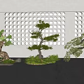 Stylish Bonsai Garden Ornaments With Green Plants Small Stones And Dot Patterned Wall