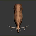 Realistic 3D Deer Model With Large Antlers Brown Coat And White Hooves