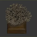 Intricate Handcrafted Coral Shaped Sculpture Carving Display On Wooden Base