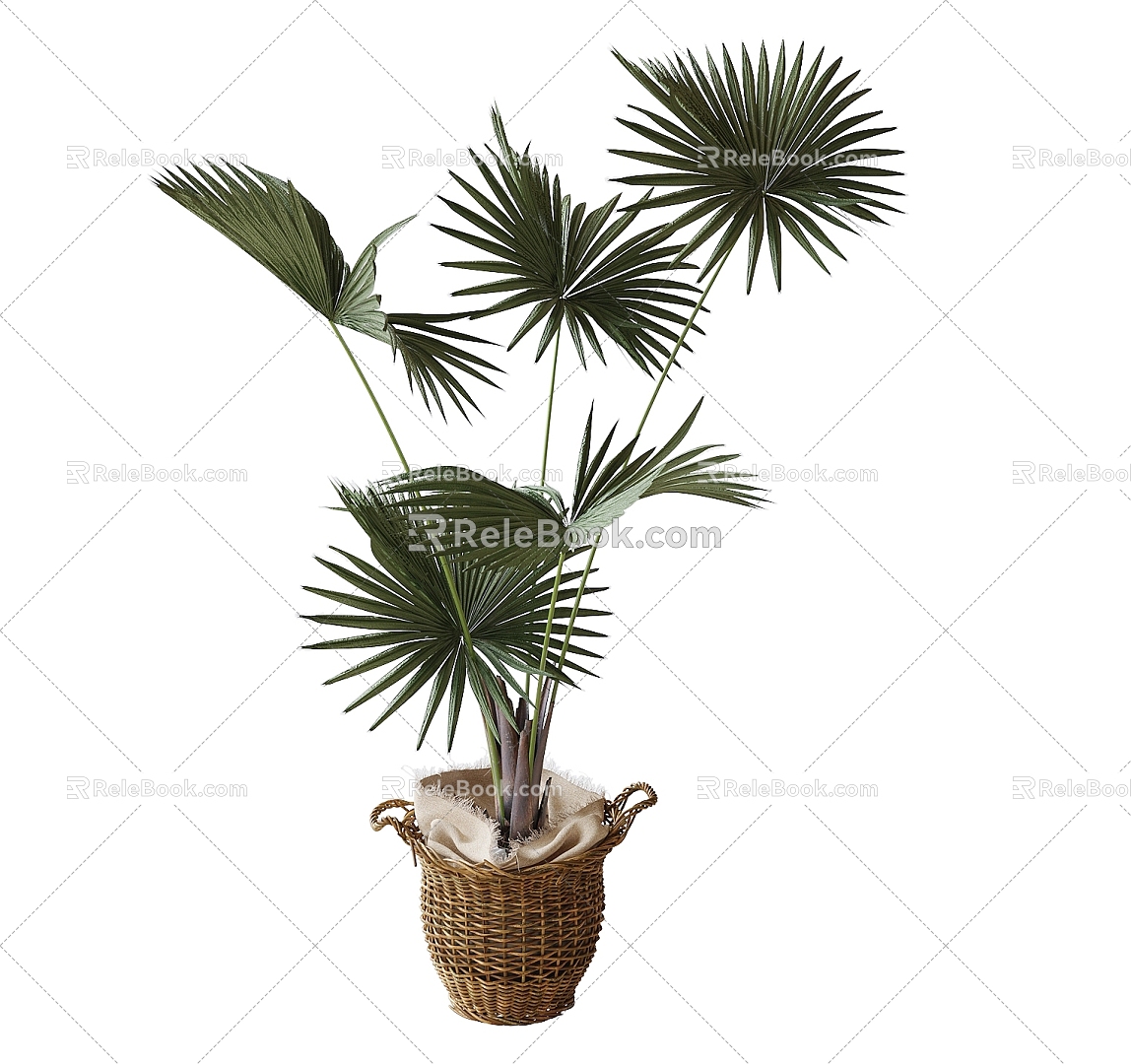 modern potted plant 3d model