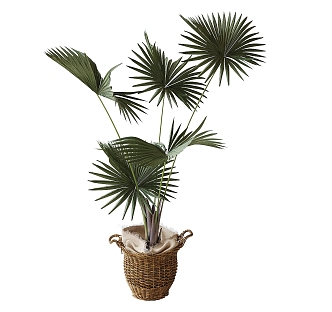 modern potted plant 3d model