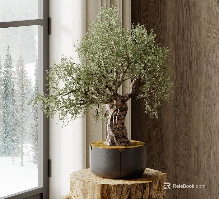 Indoor Bonsai Tree With Lush Green Leaves On Wooden Stand And Snowy Window View 3d model 