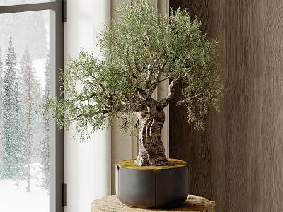 Indoor Bonsai Tree With Lush Green Leaves On Wooden Stand And Snowy Window View 3d model