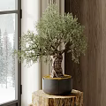 Indoor Bonsai Tree With Lush Green Leaves On Wooden Stand And Snowy Window View
