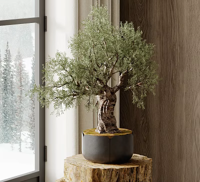 Indoor Bonsai Tree With Lush Green Leaves On Wooden Stand And Snowy Window View 3d model