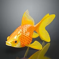 Orange and Yellow Goldfish With Scaly Texture On Black Background And Reflection 3d model