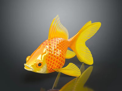 Orange and Yellow Goldfish With Scaly Texture On Black Background And Reflection 3d model